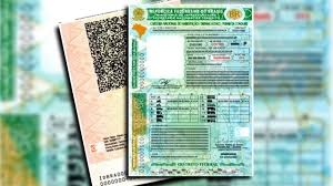 How Long Does It Take to Get a Medical License in Brazil?